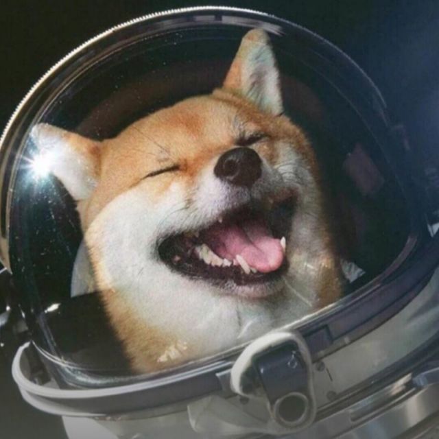 secrun